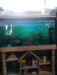 Aquarium sale